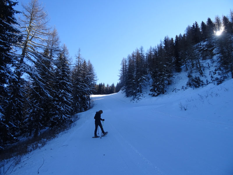 Catena dei Lagorai...da Pergine al Passo del Manghen